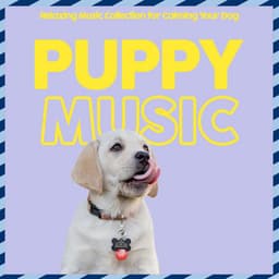 Puppy - Relaxing Music Collection for Calming Your Dog - Relaxmydog