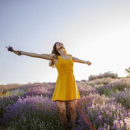 Radiant Lofi Harmony: Harmonious Tunes for Serenity - Music for Stress Relief