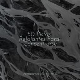 50 Pistas Relajantes Para Concentrarse - Sons da Natureza