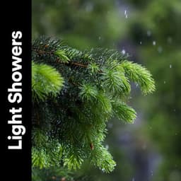 Light Showers - Rain Sounds for Relaxation