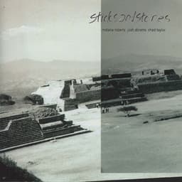 Sticks and Stones - Matana Roberts