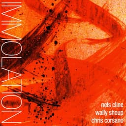 Immolation/Immersion - Nels Cline