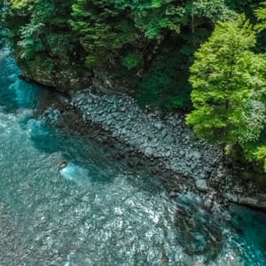 Tranquil Waterside: Stream's Serene Harbor - The Water Sleepers