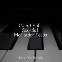 Calm & Soft Sounds | Meditation Focus - Anxiety Relief