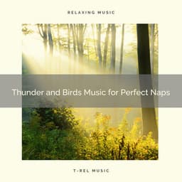 Thunder and Birds Music for Perfect Naps - Rain Sounds Collection