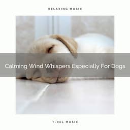 Calming Wind Whispers Especially For Dogs - Dog Total Relax