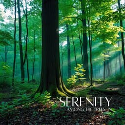Serenity Among the Trees: Inner Calm, Stress Relief Forest, Healing Vibes, Nature Reconnect - Natures Orchestra