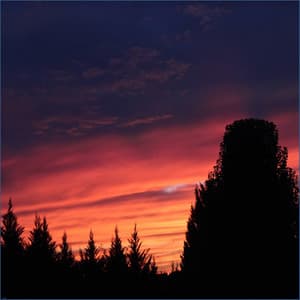 Wind Chimes - Baby Sweet Dream