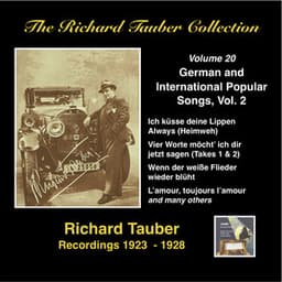 The Richard Tauber Collection: German & International Popular Songs, Vol 2 - Richard Tauber