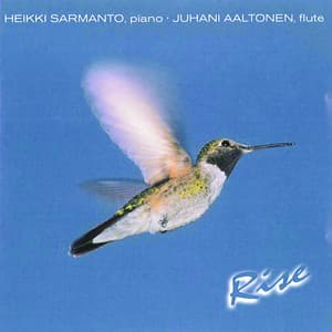 Rise - Heikki Sarmanto