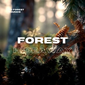 Forest Hideaway: Relaxation and Blissful Time - FX Forest Sounds