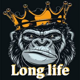 Long life - Boombap Beats