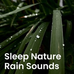 Sleep Nature Rain Sounds - Nature Sounds Artists