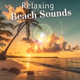 Relaxing Beach Sounds - Beach Sounds
