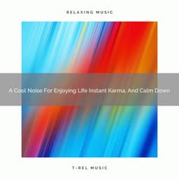 A Cool Noise For Enjoying Life Instant Karma, And Calm Down - White Satisfying Noise