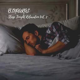 Binaural: Sleep Tonight Relaxation Vol. 2 - Night Sounds Association