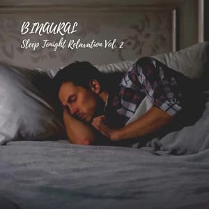 Binaural: Sleep Tonight Relaxation Vol. 2 - Night Sounds Association
