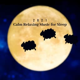 2021 Calm Relaxing Music for Sleep - Sleepy Sounds
