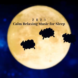 2021 Calm Relaxing Music for Sleep - Sleepy Sounds