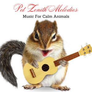 Pet Zenith Melodies: Music For Calm Animals - Calm Solitude