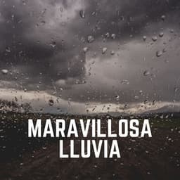 Maravillosa Lluvia - Ruido de Lluvia