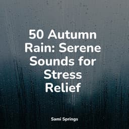 50 Autumn Rain: Serene Sounds for Stress Relief - Ambient Rain