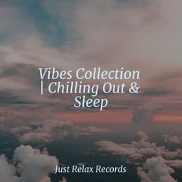 Vibes Collection | Chilling Out & Sleep - Reiki Tribe