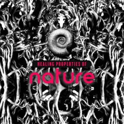 Healing Properties of Nature - Essence of Life & Natural Beauty - Lover of New Age Nature