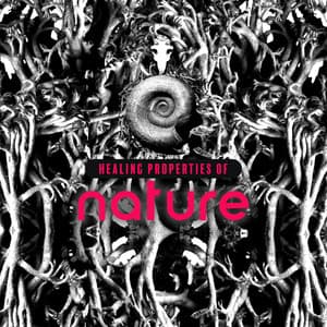 Healing Properties of Nature - Essence of Life & Natural Beauty - Lover of New Age Nature