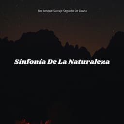Sinfonía De La Naturaleza: Un Bosque Salvaje Seguido De Lluvia - Sonido Del Bosque y Naturaleza