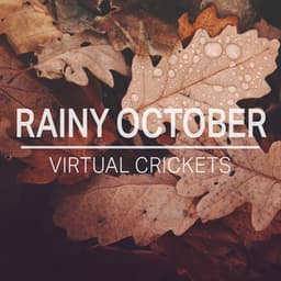 Rainy October - Virtual Crickets