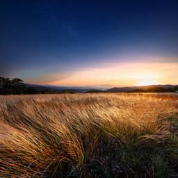 Hip Hop Music For Urban Journeys And City Rhythms - Jazzy LoFi