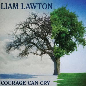 Courage Can Cry - Liam Lawton