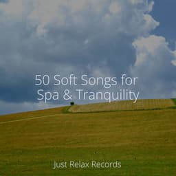 50 Soft Songs for Spa & Tranquility - Yoga