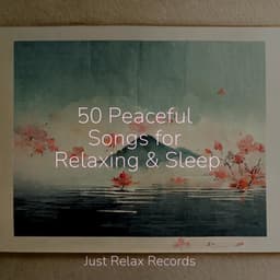 50 Peaceful Songs for Relaxing & Sleep - Pro Sound Effects Library