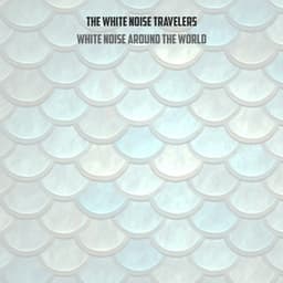 White Noise Around The World - The White Noise Travelers