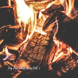 Log Fire White Noise Vol. 1 - Fire Sounds