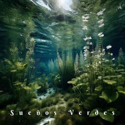 Sueños Verdes: Susurros del Alma Acuática - Meditación Música Ambiente