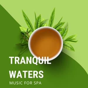 Tranquil Waters: Music for Spa - Amazing Spa Music