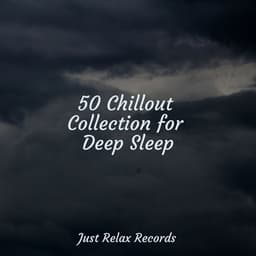 50 Chillout Collection for Deep Sleep - Musica para Dormir Dream House