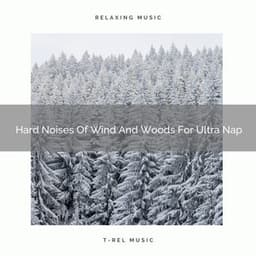 Hard Noises Of Wind And Woods For Ultra Nap - Sleep Dimension