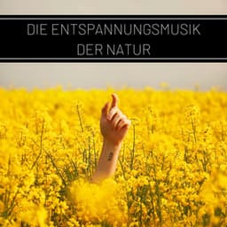 Die Entspannungsmusik der Natur: Wellness, Entspannung und Autogenes Training, Vogelstimmen - Klaviermusik Entspannen