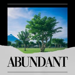 Abundant - The Nature Soundscapes