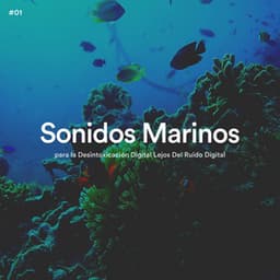 #01 Sonidos Marinos para la Desintoxicación Digital Lejos Del Ruido Digital - Olas del Mar