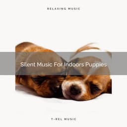Silent Music For Indoors Puppies - Sleep Doggie