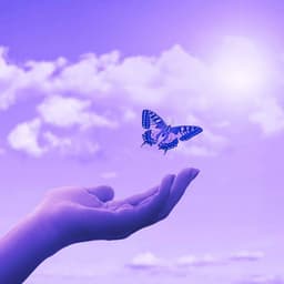 Acoustic and Electric Bossanova Piano Duo - Ambiance for Comforting Tales - Cleaning Music