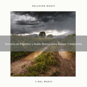 Sonidos de Pajaritos y Ruido Blanco para Relajar Totalmente - Ruido Para Bebé