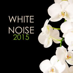 White Noise 2015: Best Background Tracks Collection - White Noise Masters
