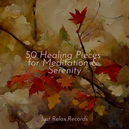 50 Healing Pieces for Meditation & Serenity - Relaxing Mindfulness Meditation Relaxation Maestro