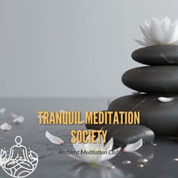 Tranquil Meditation Society - Ambient Meditation Club